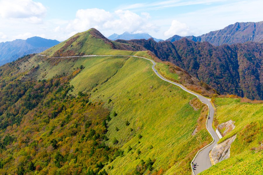 ⛰️ 항아리 숲(카메가모리) 이미지 4